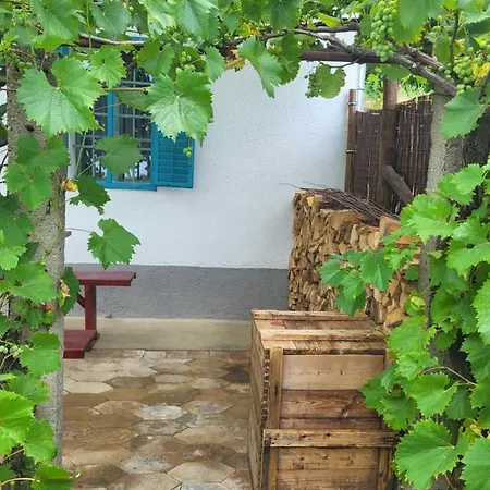 Dezsavar Vendeghaz Apartament *